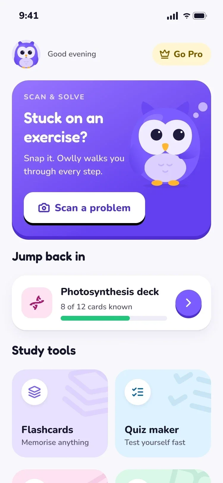 Owlly home screen on iPhone: scan a problem, jump back into your decks, study tools