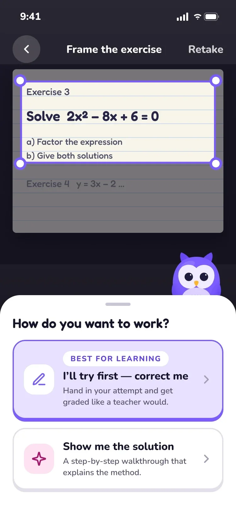 Owlly framing a photographed exercise and asking how you want to work